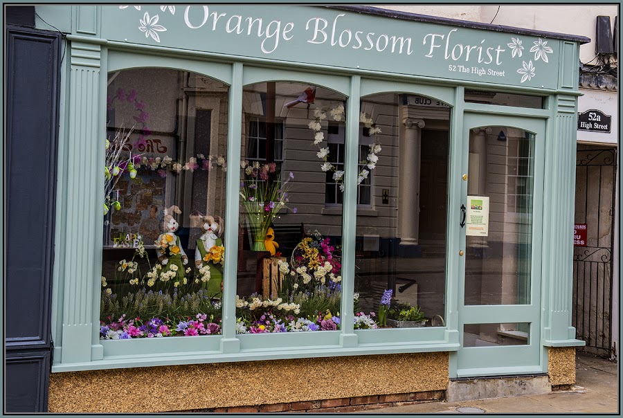 Orange Blossom Florist